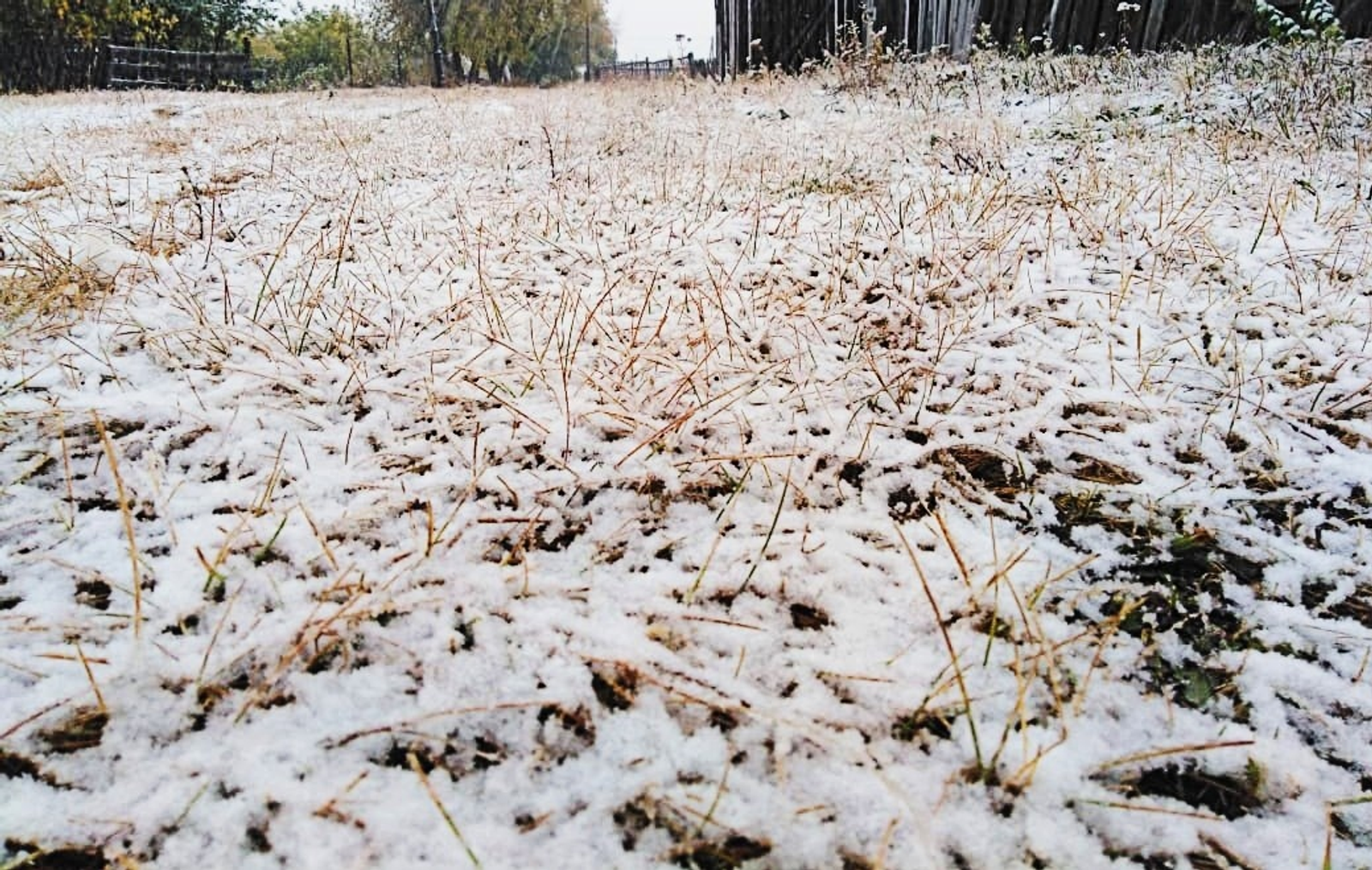 Синоптики Башкирии рассказали, какой будет погода в ноябре