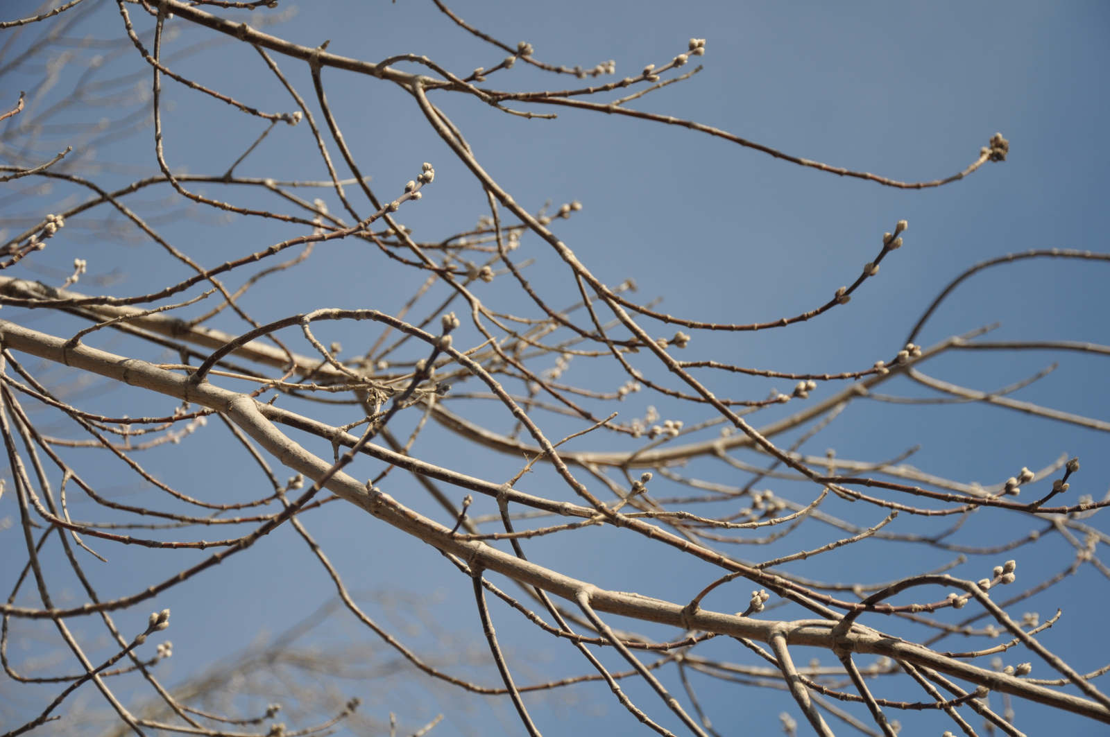 Погода в Башкирии: готовим зонты, но не прячем лёгкие куртки