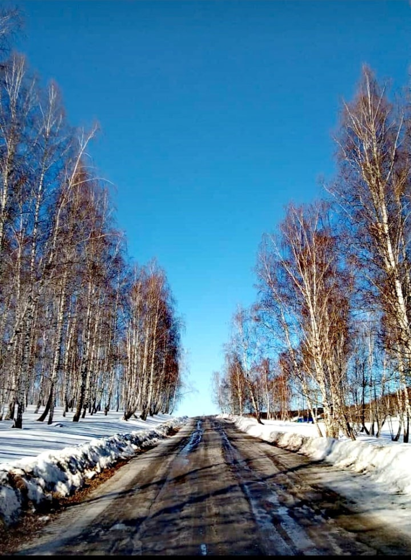 В Башкирии ожидается ощутимое потепление до 13 градусов