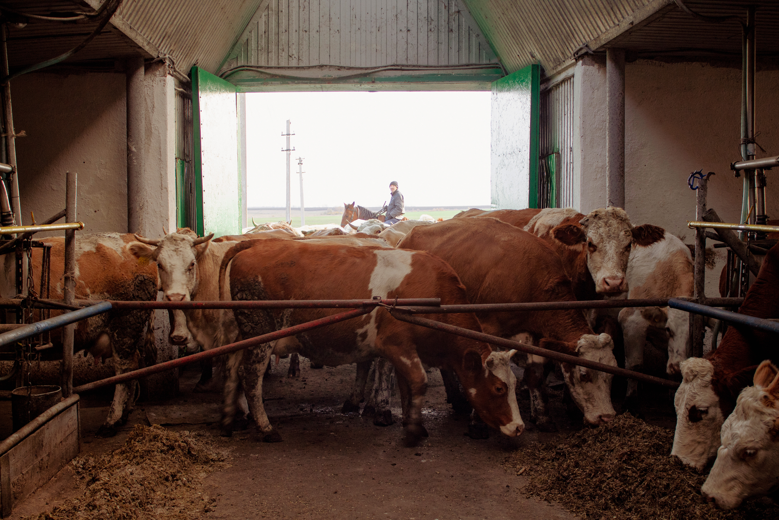 Введен  карантин в двух деревнях Башкирии