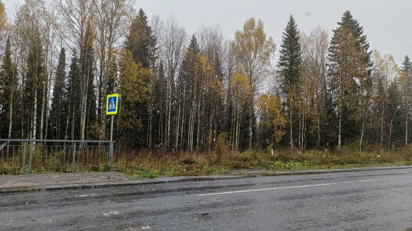 В некоторых районах Башкирии выпал первый снег