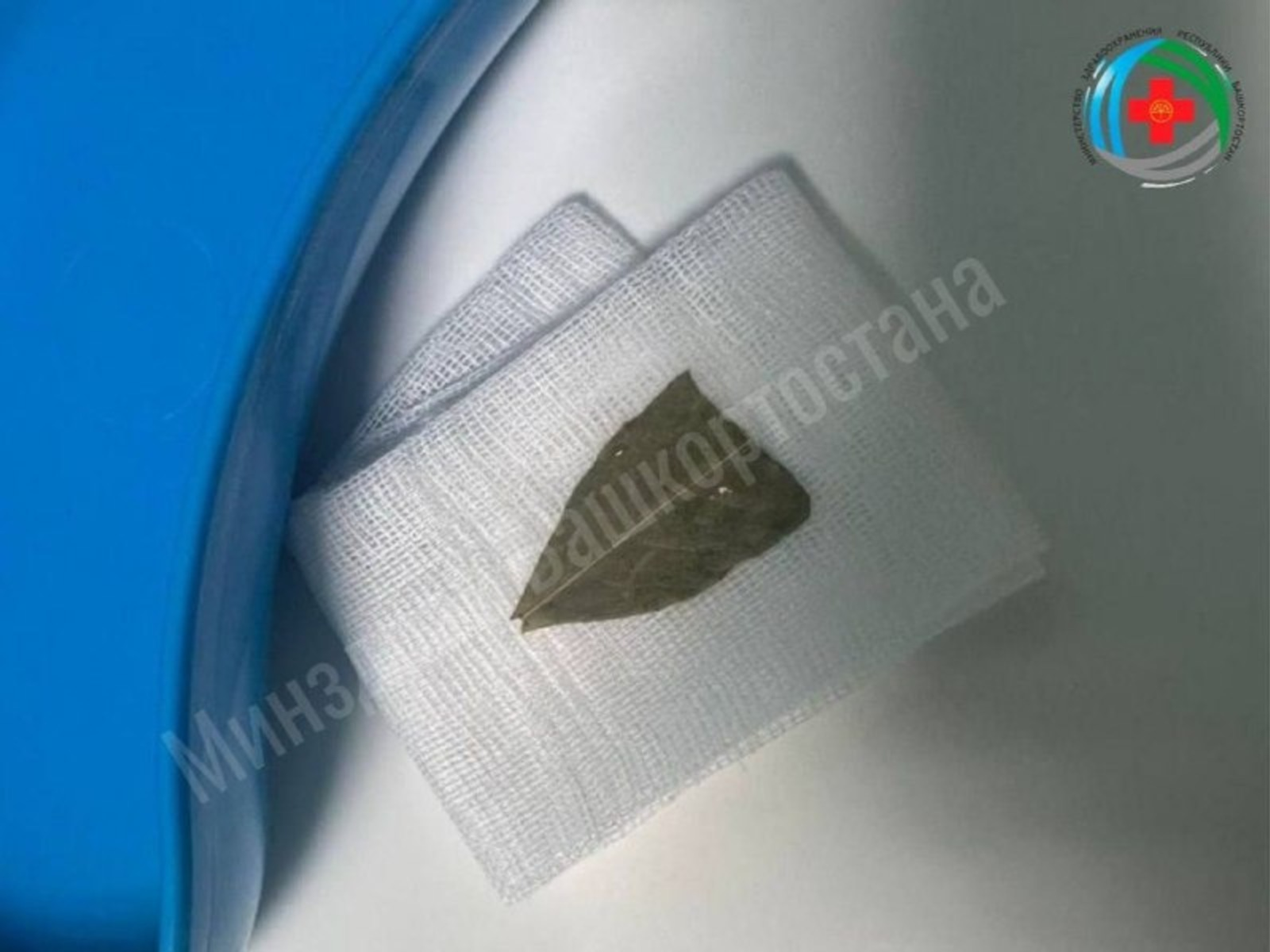 В Башкирии женщина из села Малояз чуть не погибла из-за лаврового листа