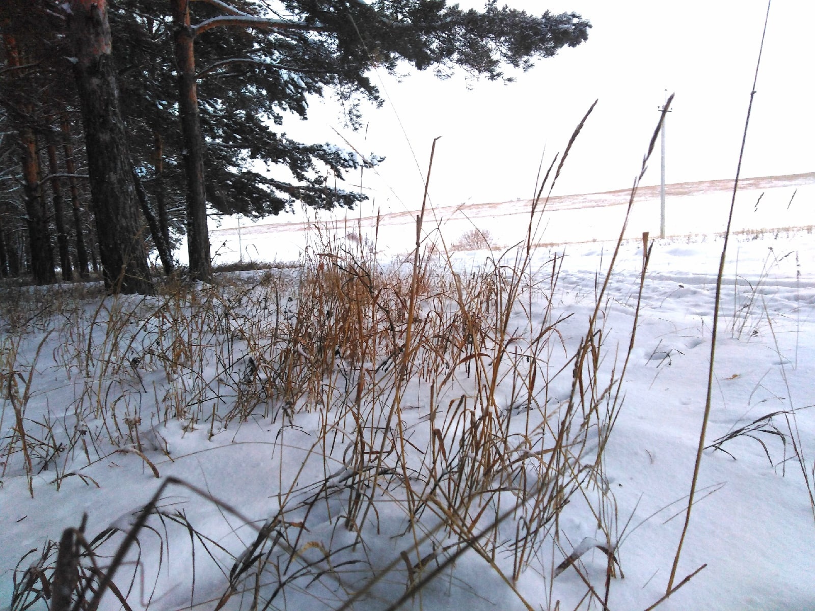 В комитете по ЧС Башкирии предупреждают о шторме