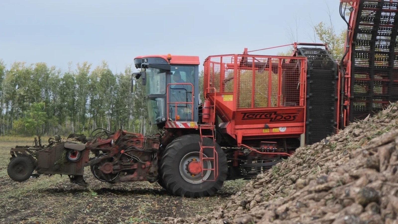 В Башкирии семь районов приступили к уборке сахарной свеклы