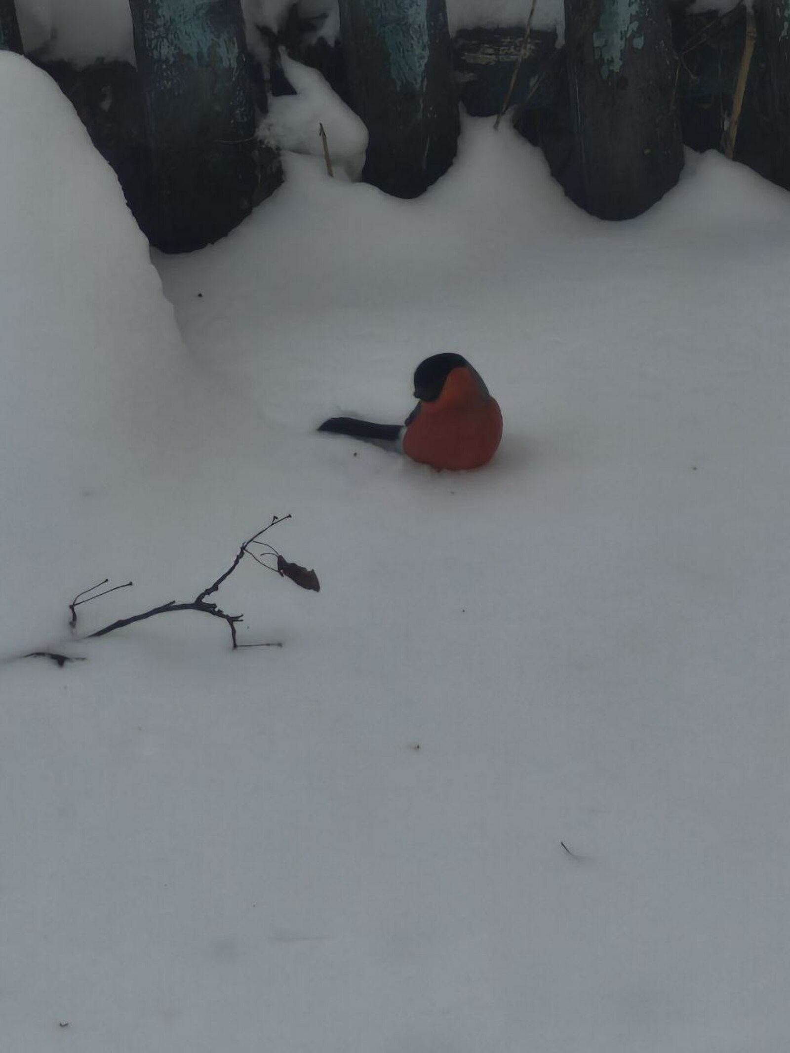 В Башкирии на выходных установится морозная погода