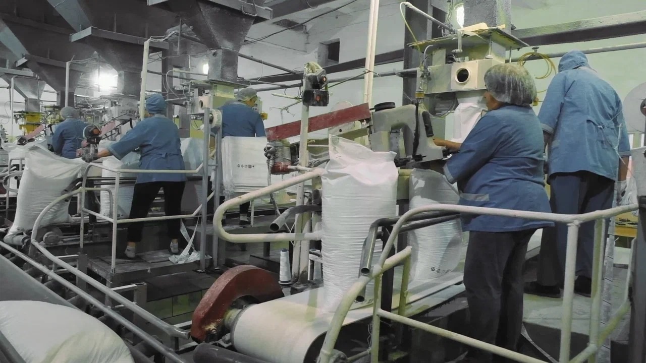 В Башкирии семь районов приступили к уборке сахарной свеклы