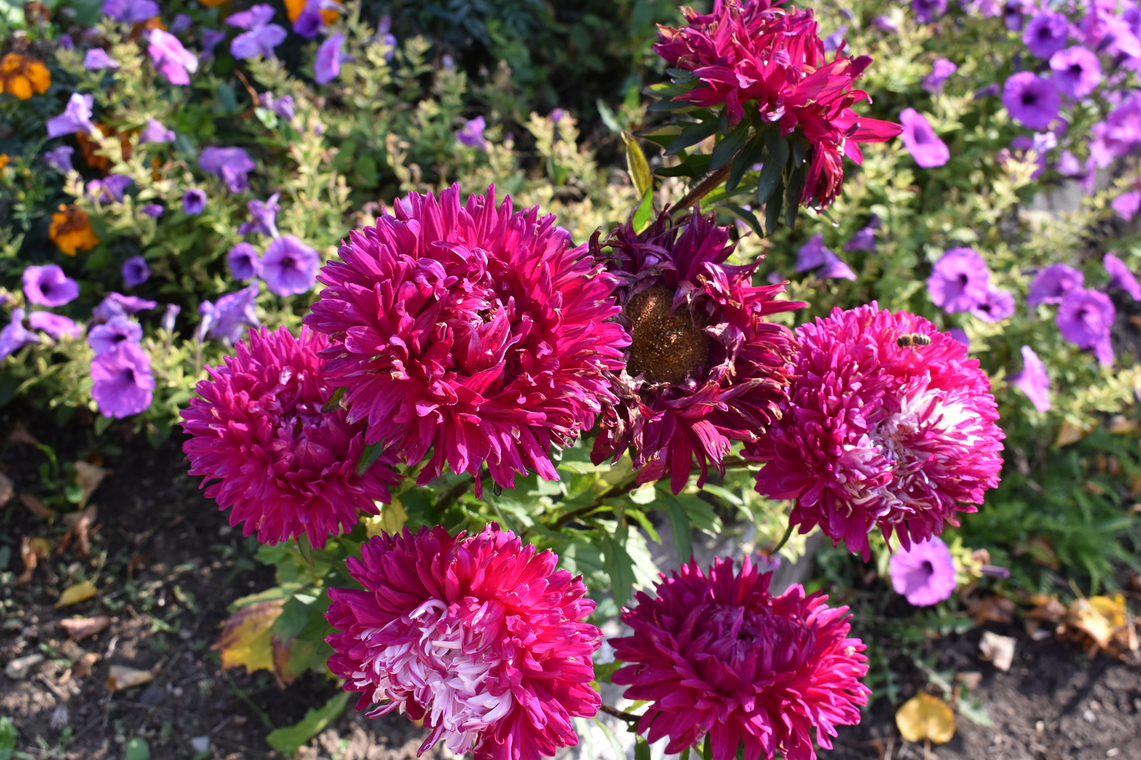 Уважаемые ветераны  редакции газеты  «Мечетлинская жизнь»  и типографии!