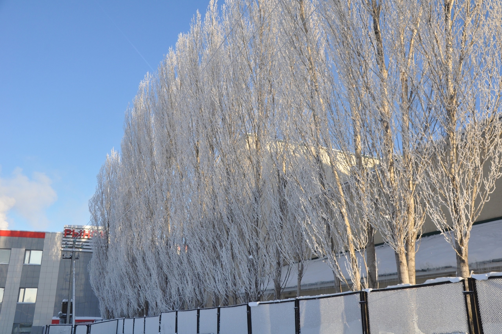 В Мечетлинском районе прогнозируются морозы до 40 градусов