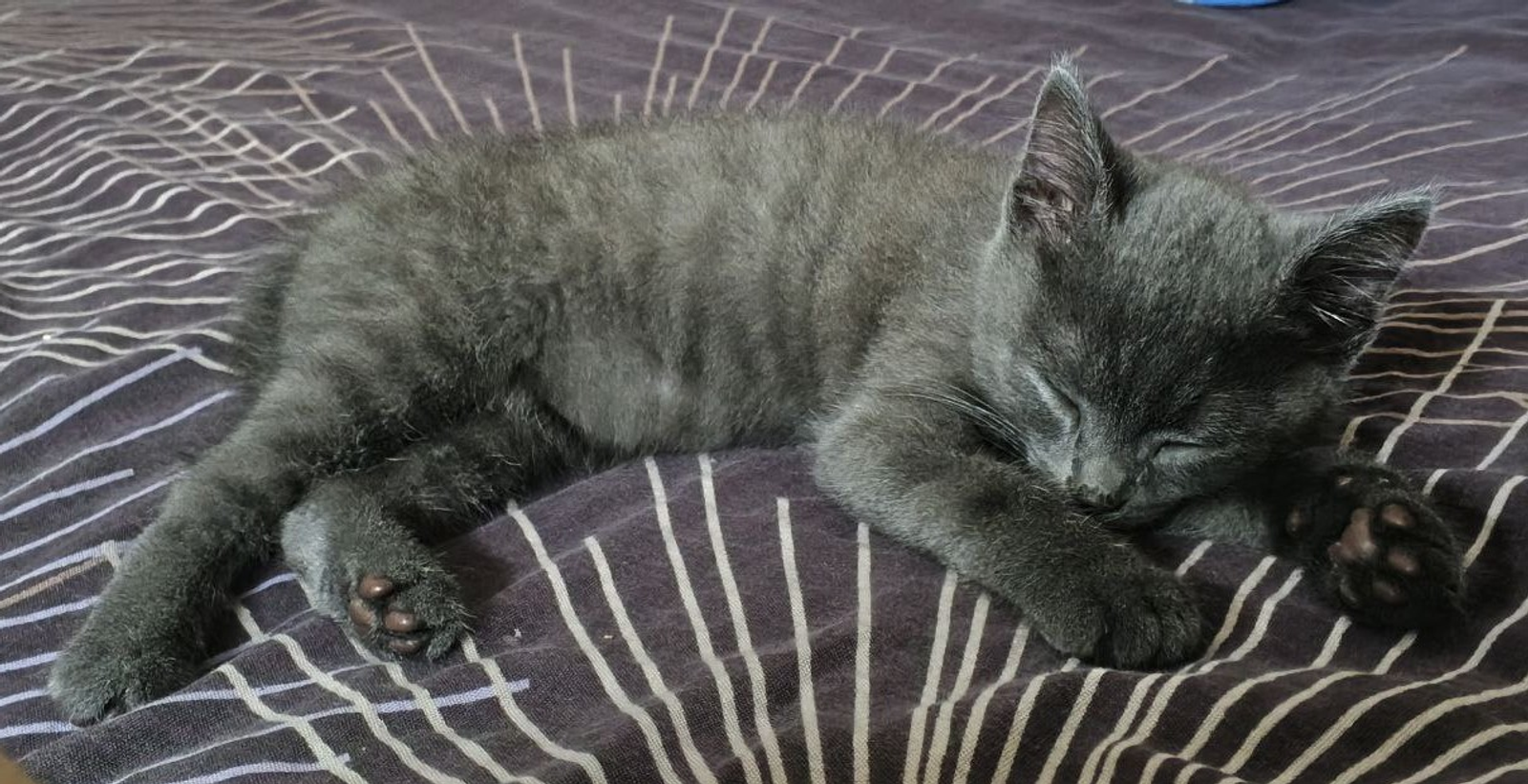 В феврале 2026 жителей Башкирии ожидают продолжительные выходные