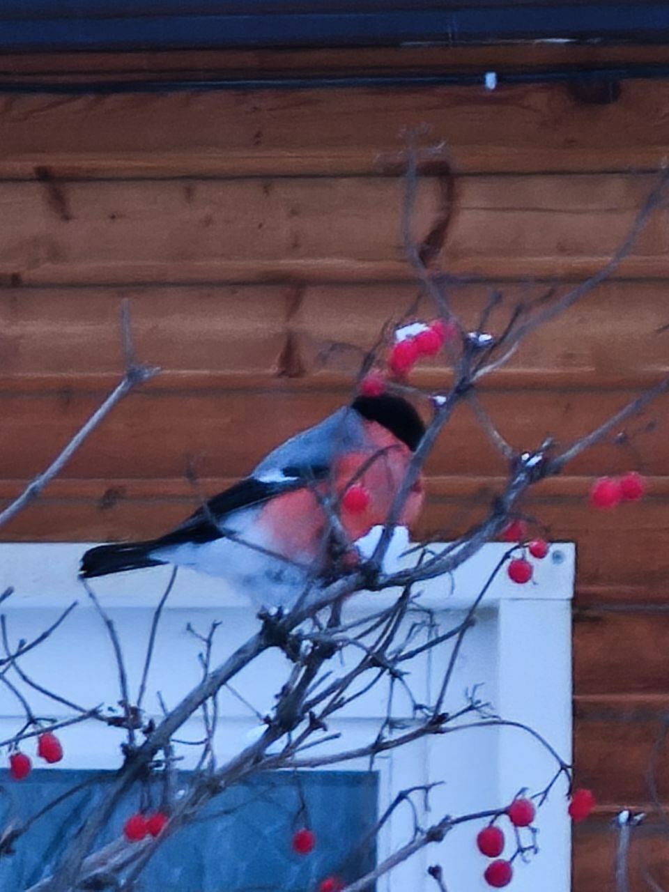 МЧС Башкирии оповестило население региона о надвигающихся экстремальных холодах