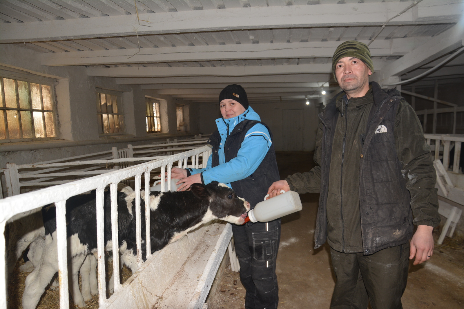 В хозяйстве Мечетлинского района повысились надои молока