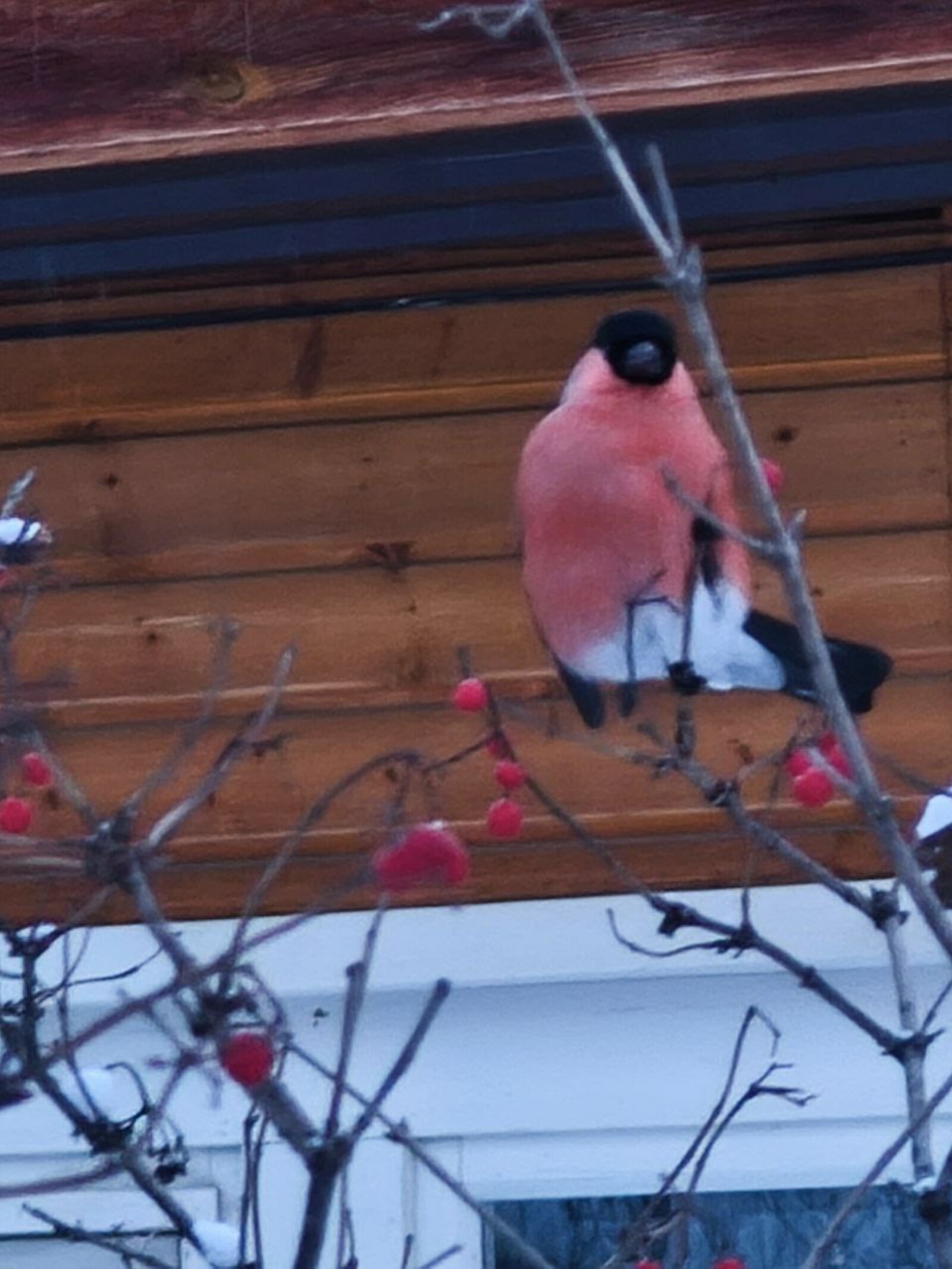 МЧС Башкирии оповестило население региона о надвигающихся экстремальных холодах