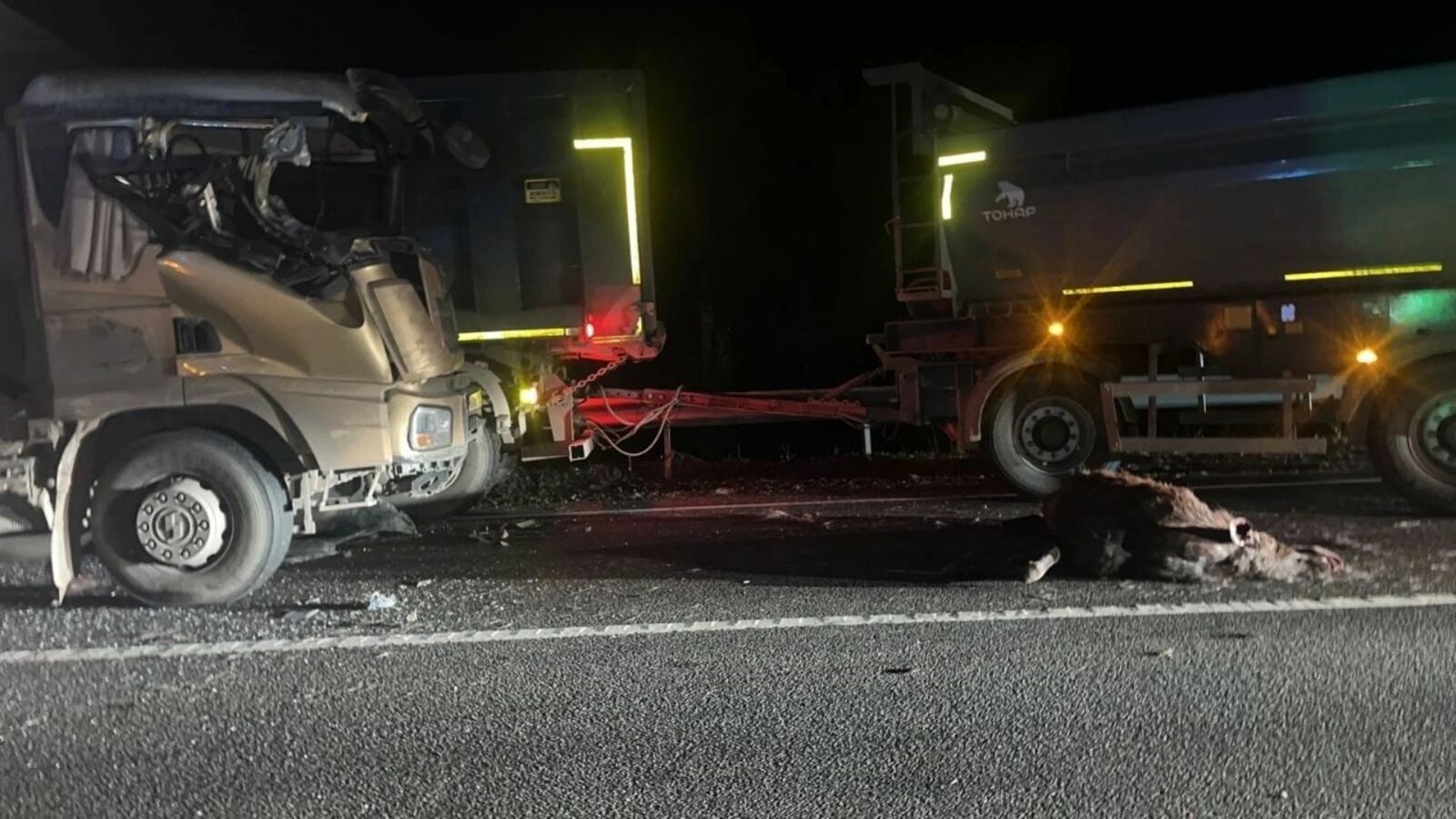 На трассе М-5 из-за лежащего на дороге лося столкнулись три грузовика, погиб пассажир