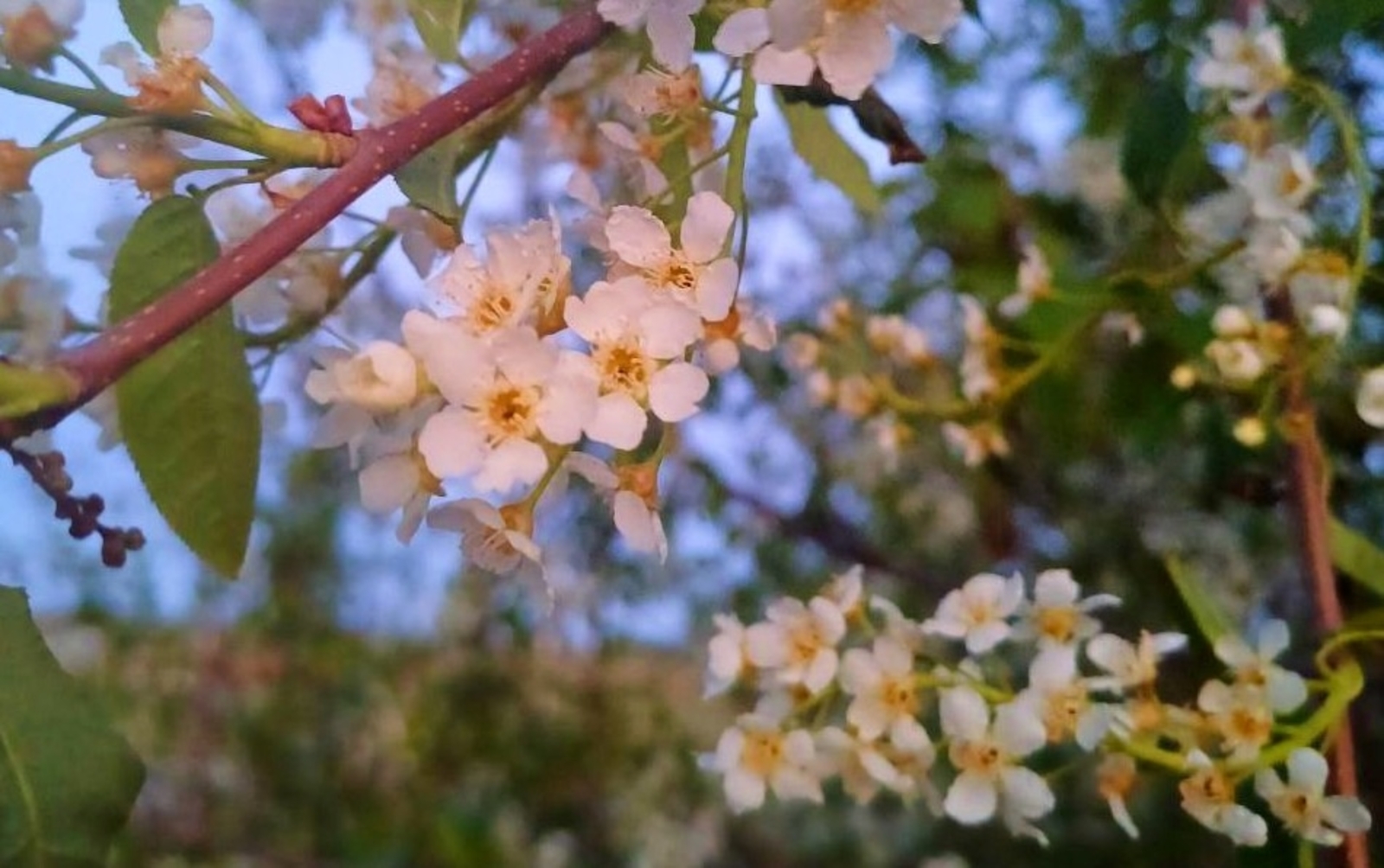 В мае 2026 года жители Башкирии отдохнут семь дней