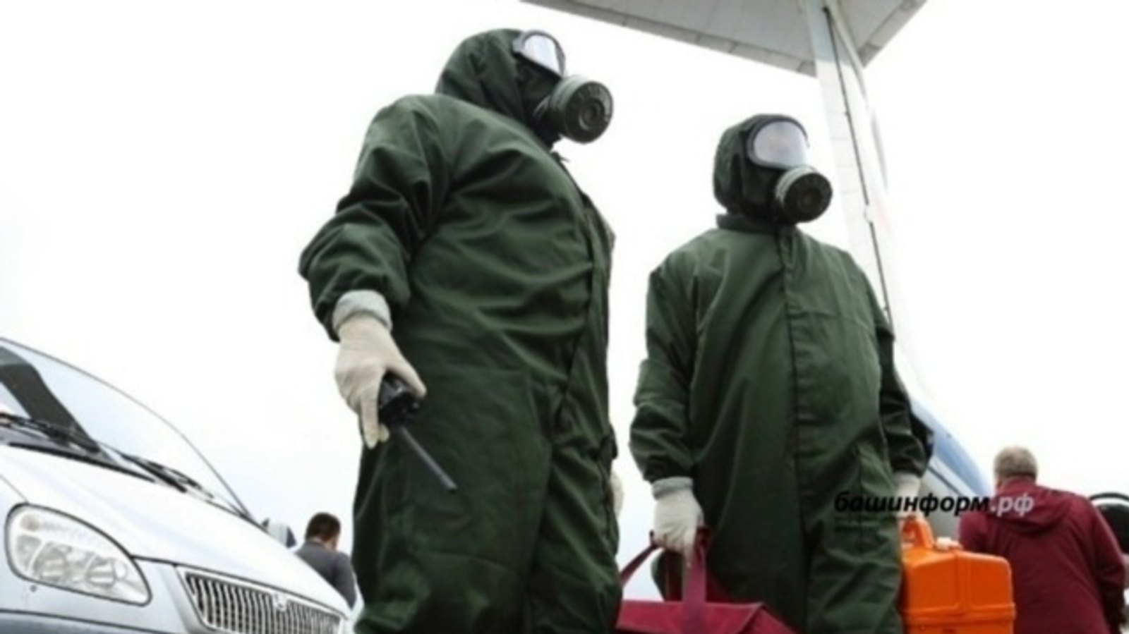 В Белокатайском районе Башкирии выявлен очаг бешенства