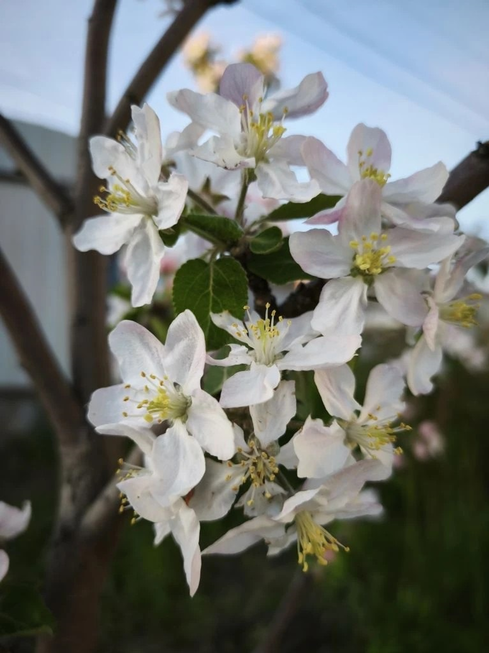 Стало известно сколько выходных дней будет мае в Башкирии