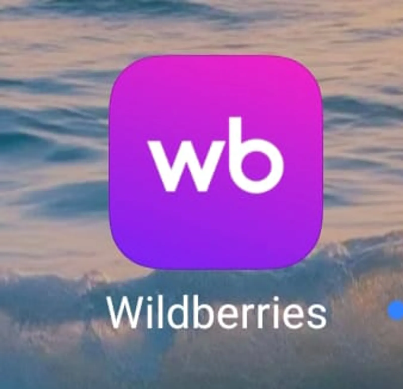 Маркетплейс Wildberries ввел плату за транспортировку товаров
