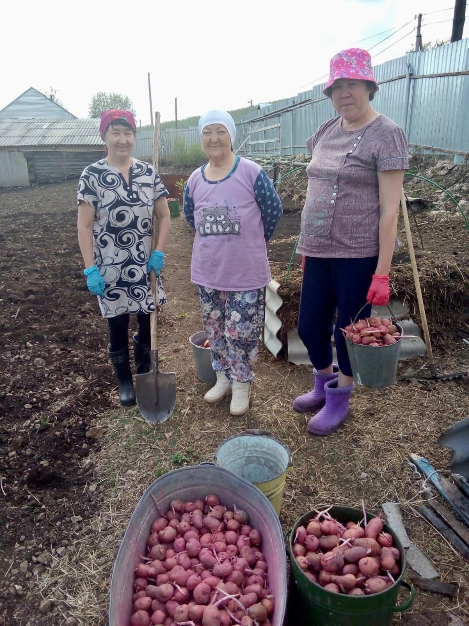 Соцработники Мечетлинского района помогают подопечным с посадкой картофеля