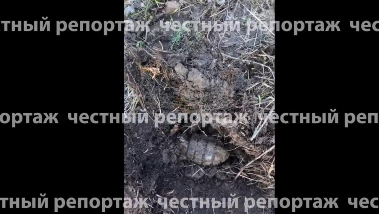 Фермер из Башкирии обнаружил на своем участке гранату