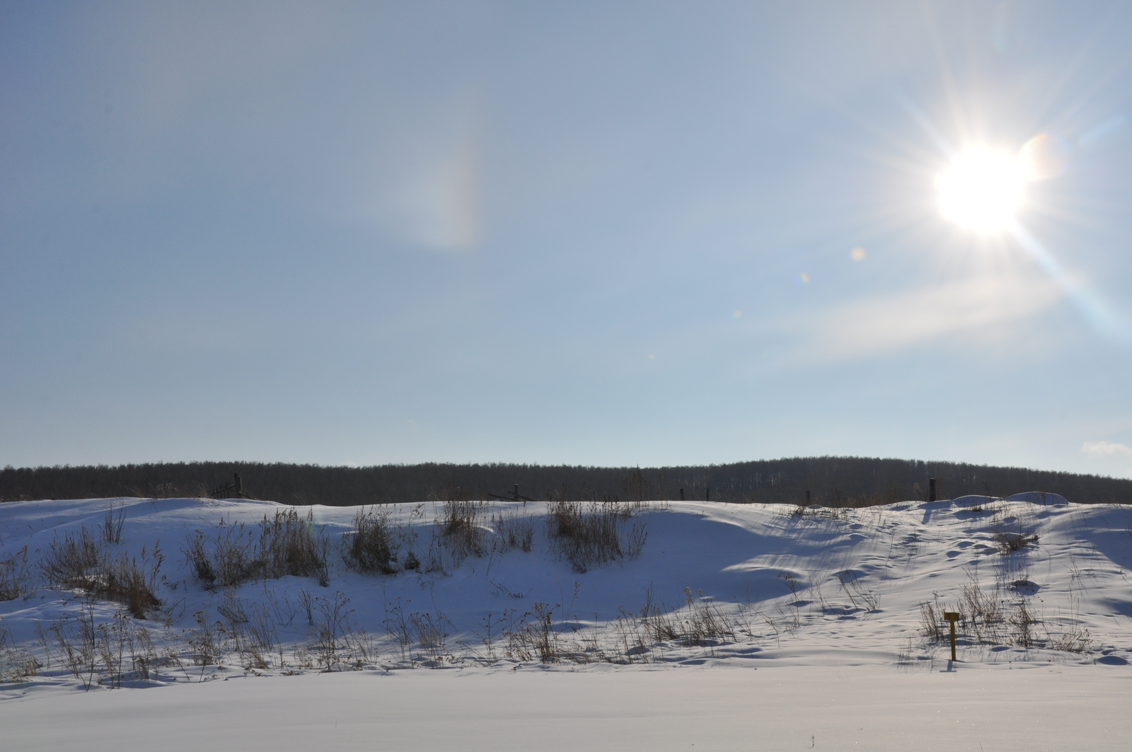 Жителей Башкирии ждет аномально теплый январь